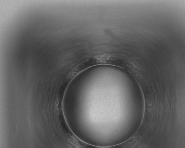 X0000060260275200511041357