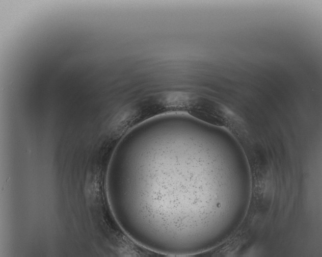 X0000060260277200511041357