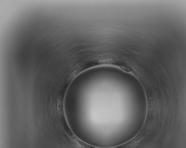 X0000060260281200511041357