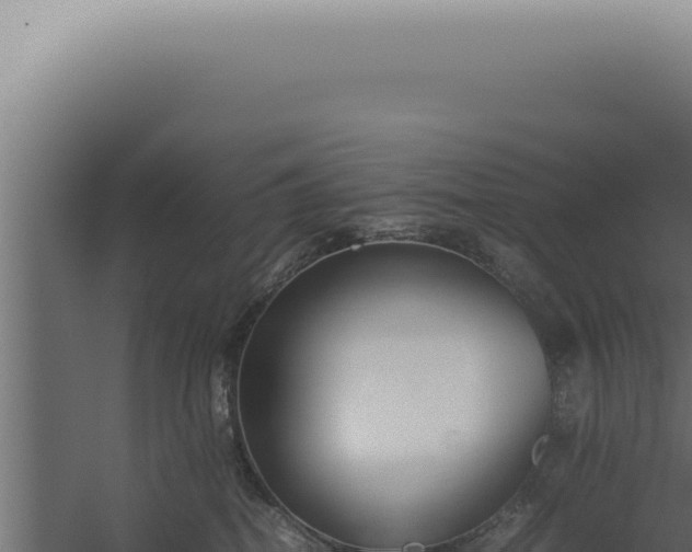 X0000060260282200511041357