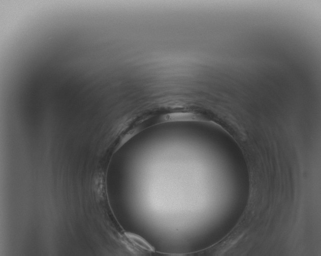 X0000060260288200511041357