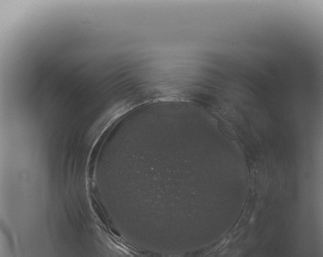 X0000060260290200511041356