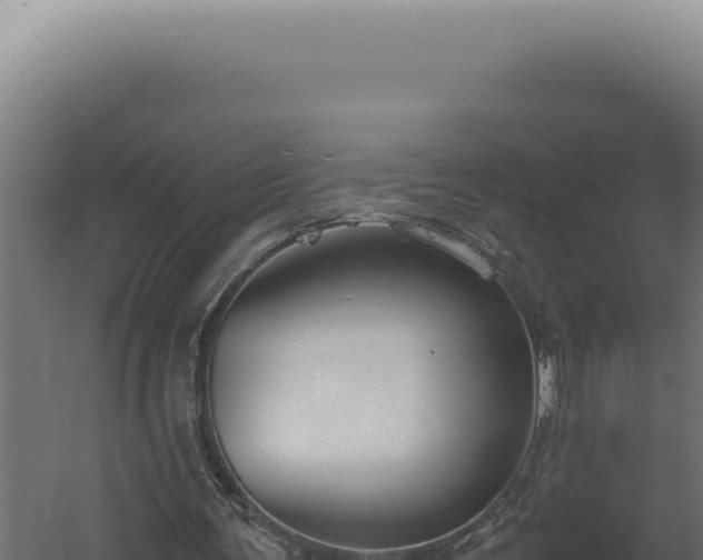 X0000060260291200511041356