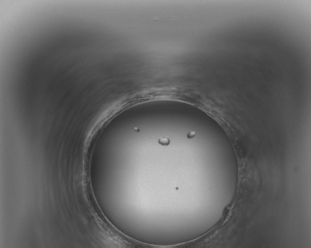 X0000060260293200511041356