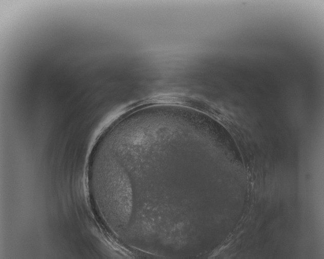 X0000060260294200511041356