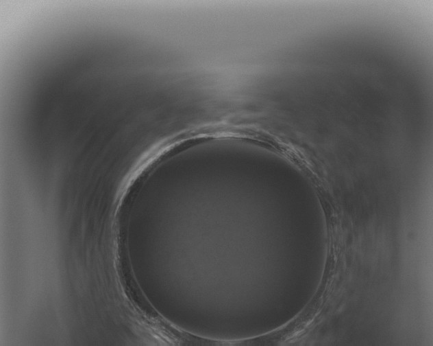 X0000060260295200511041356