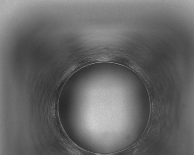 X0000060260297200511041356