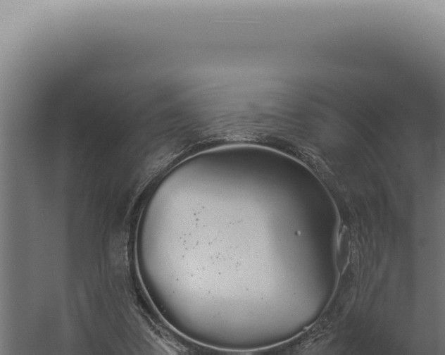 X0000060260299200511041356