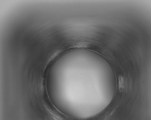 X0000060260300200511041356