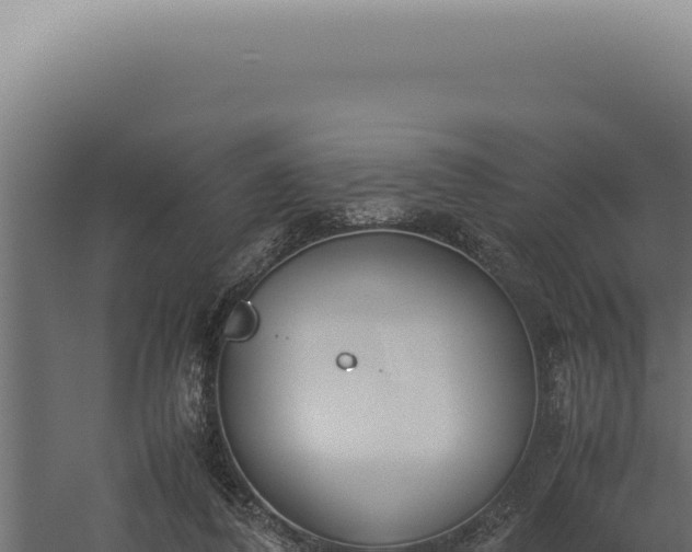 X0000060260308200511041356