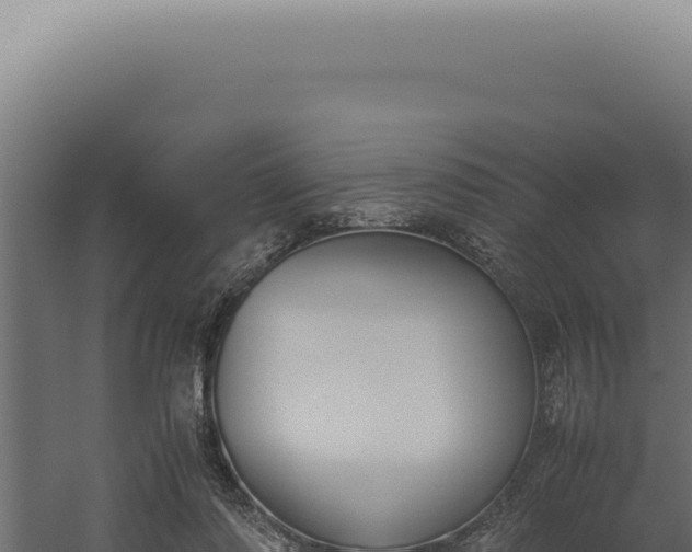 X0000060260310200511041356