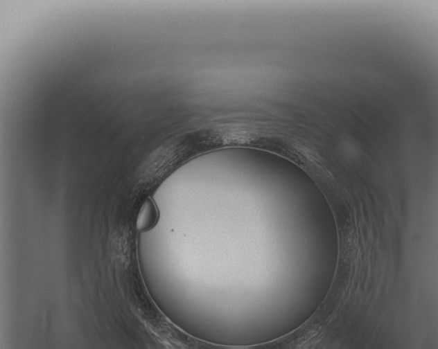 X0000060260311200511041356