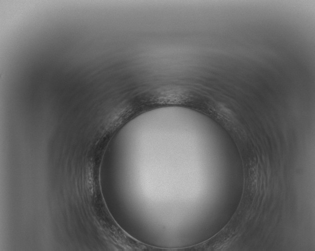 X0000060260312200511041356