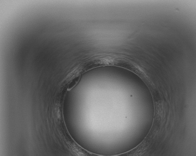 X0000060260313200511041356