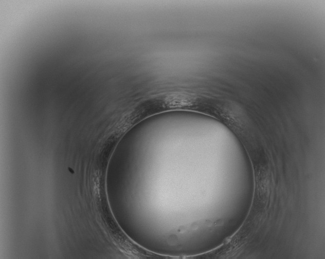 X0000060260315200511041356