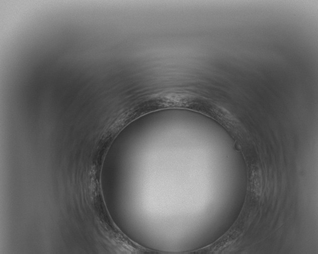 X0000060260318200511041356