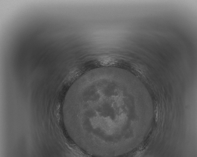 X0000060260319200511041356