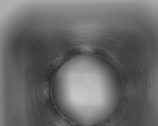 X0000060260320200511041356