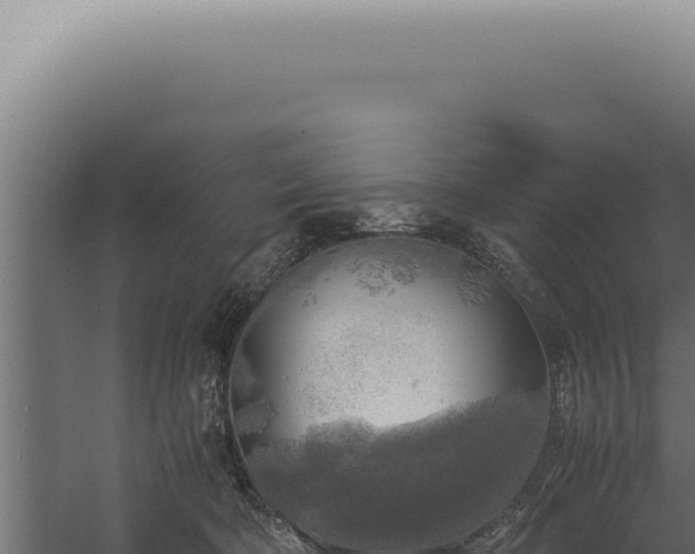 X0000060260322200511041356