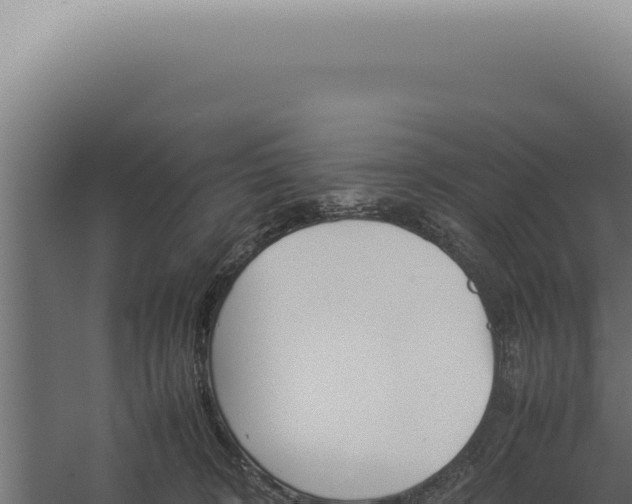 X0000060260324200511041356