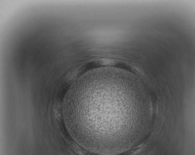 X0000060260325200511041356