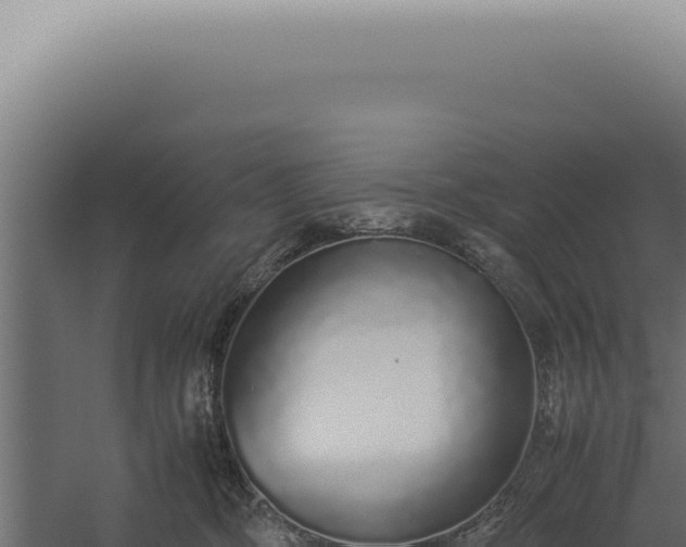 X0000060260326200511041356