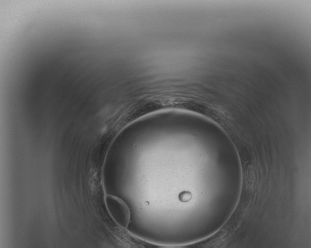 X0000060260327200511041356