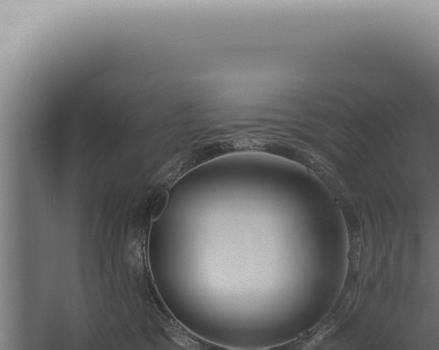 X0000060260329200511041356