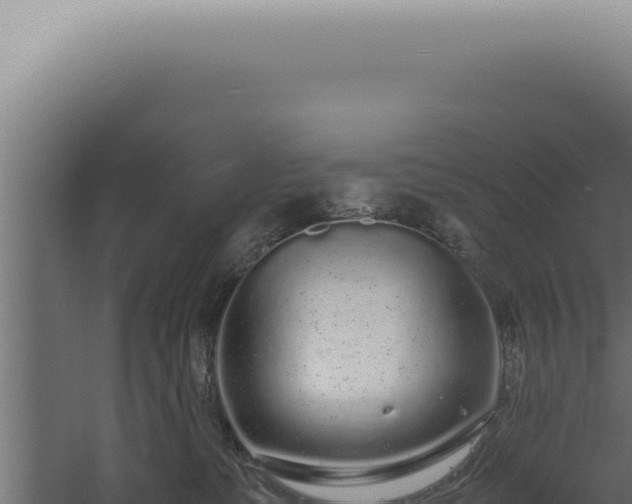 X0000060260331200511041356