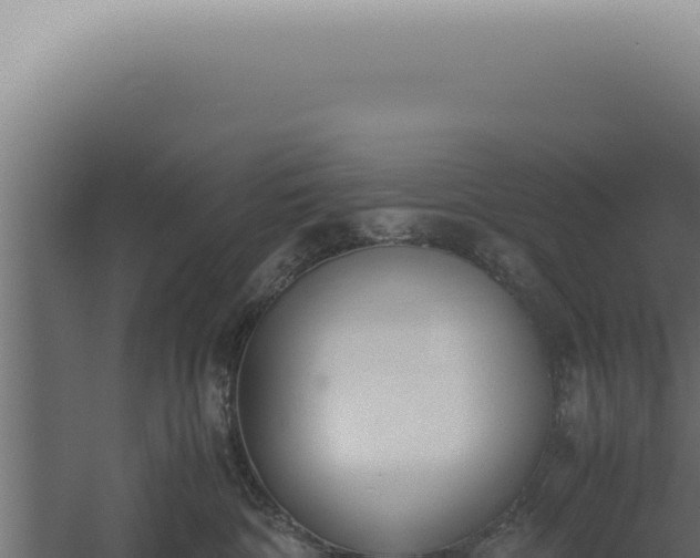 X0000060260332200511041356