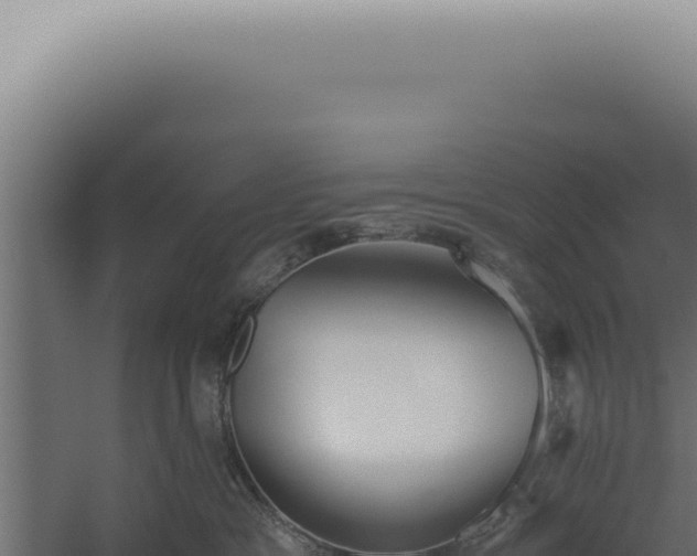 X0000060260333200511041356