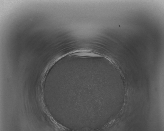 X0000060260337200511041355