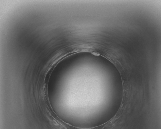 X0000060260338200511041355