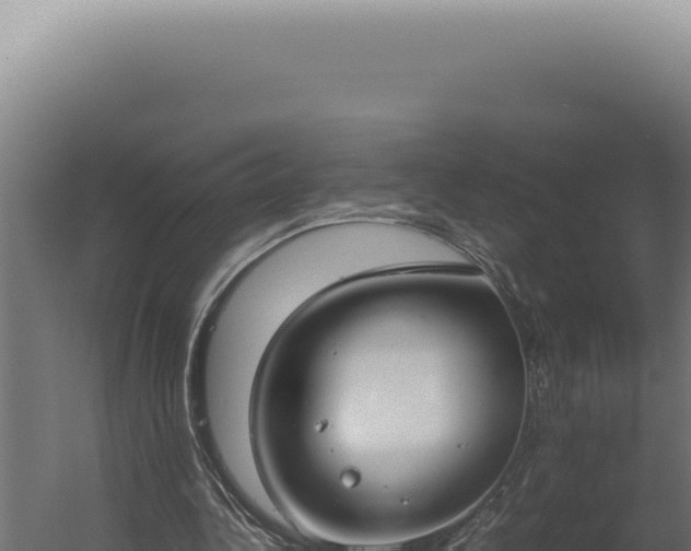 X0000060260340200511041355