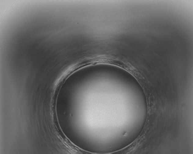 X0000060260341200511041355