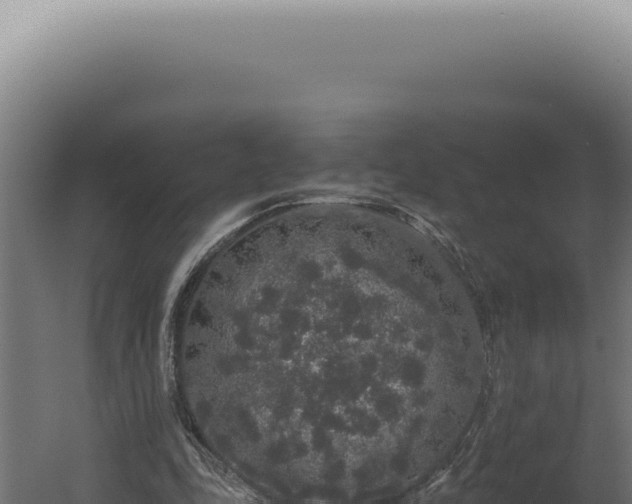 X0000060260343200511041355