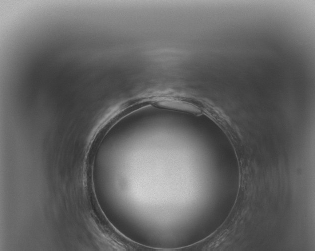 X0000060260344200511041355