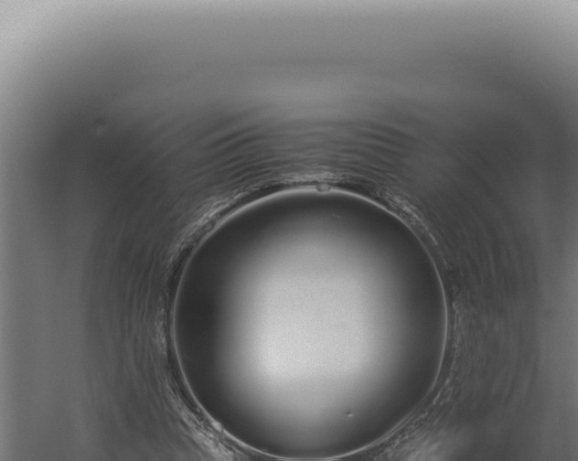 X0000060260345200511041355