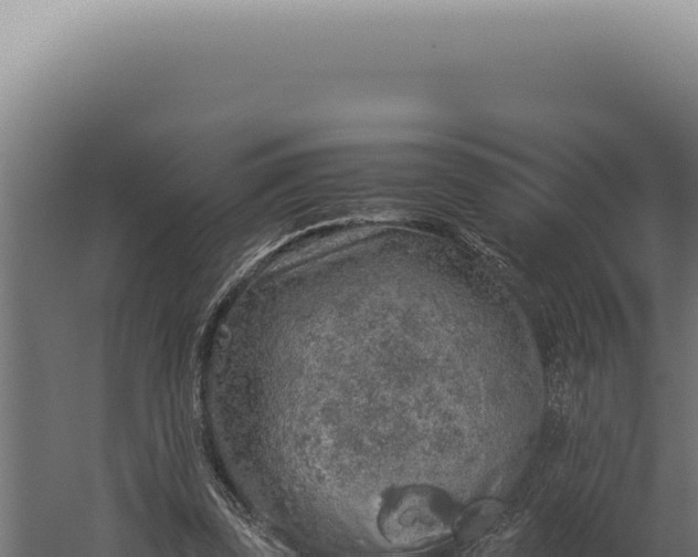 X0000060260347200511041355