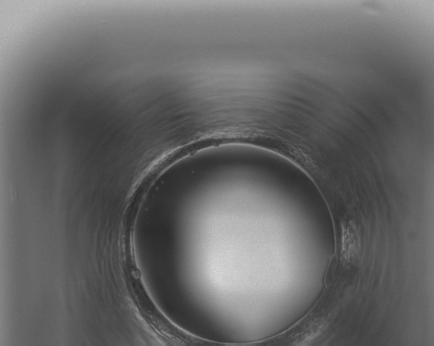 X0000060260348200511041355