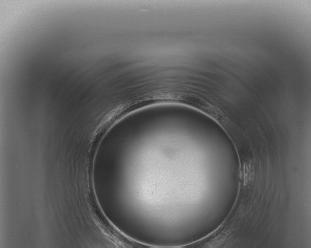 X0000060260349200511041355