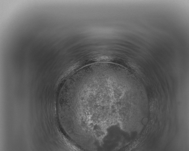 X0000060260353200511041355