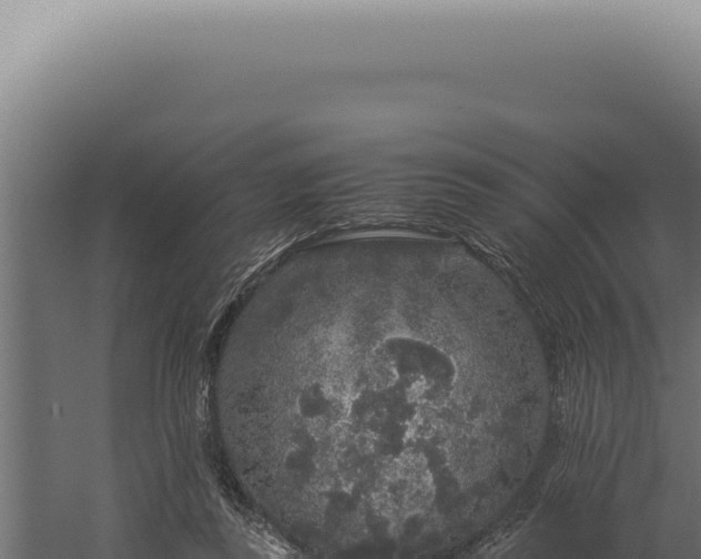 X0000060260355200511041355