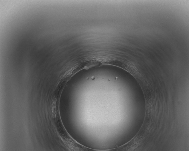 X0000060260360200511041355