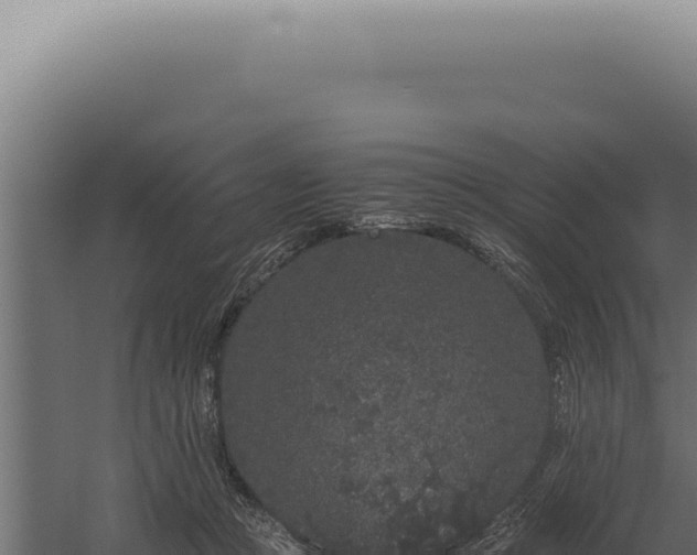 X0000060260361200511041355