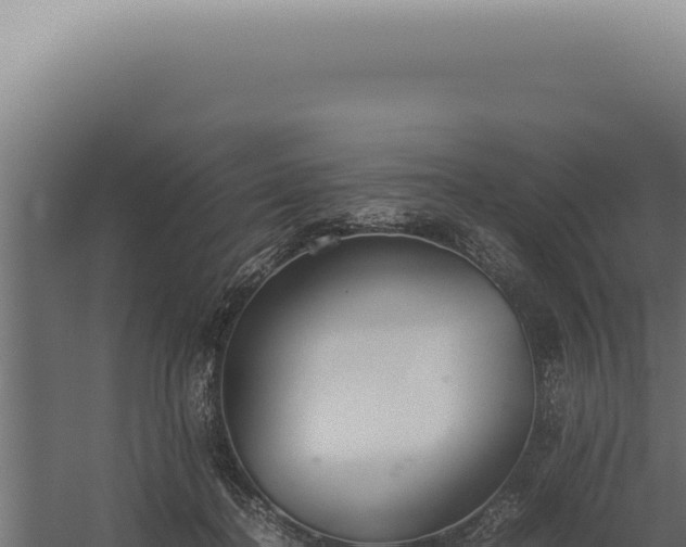 X0000060260364200511041355