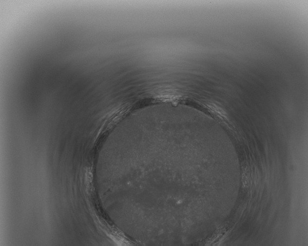 X0000060260365200511041355