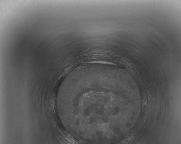 X0000060260367200511041355