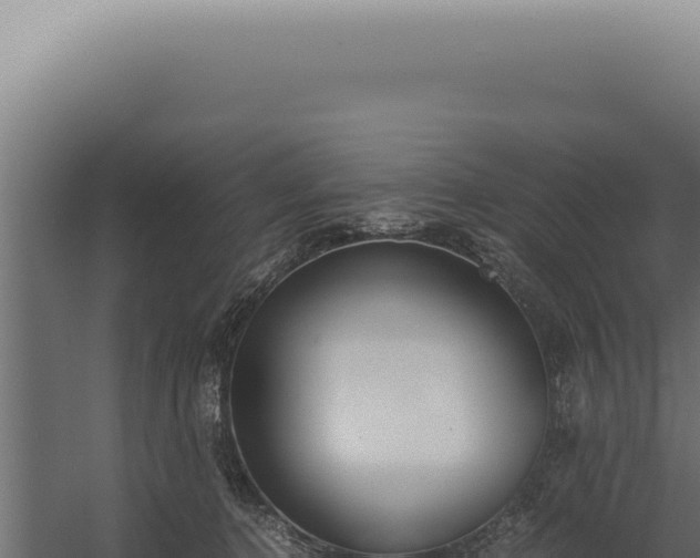 X0000060260368200511041355