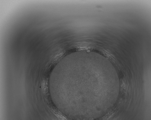 X0000060260369200511041355